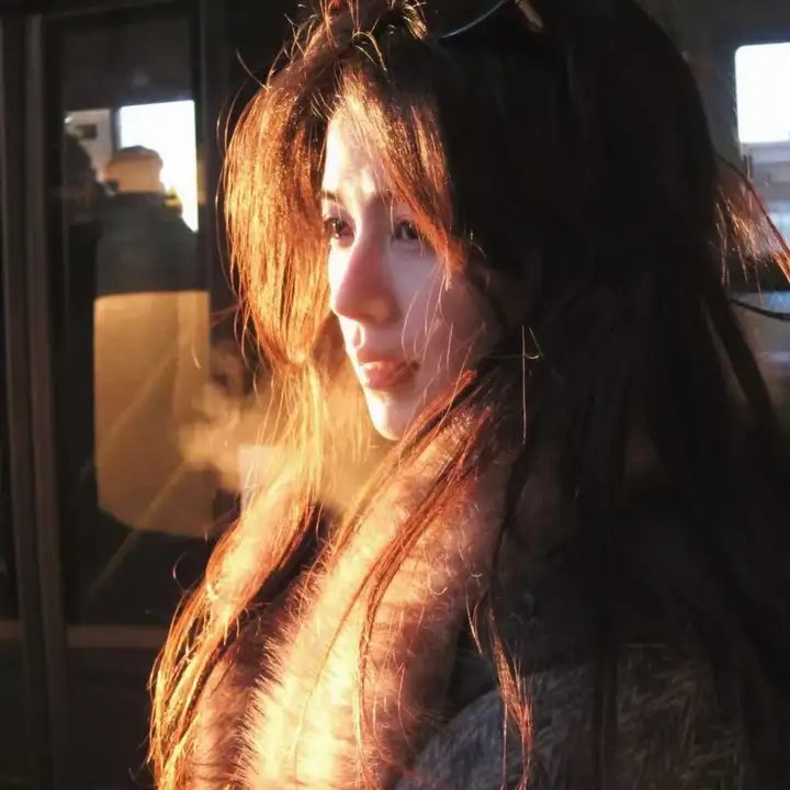 浪子镜 在线观看